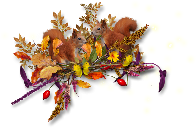 Клипарт осень на прозрачном фоне