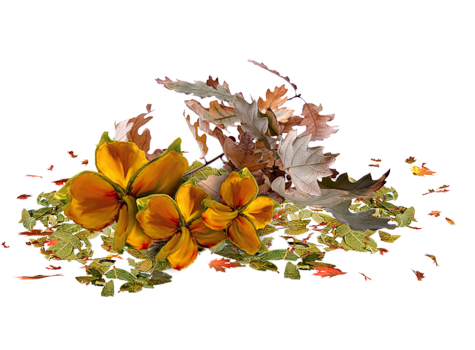 Осень клипарт