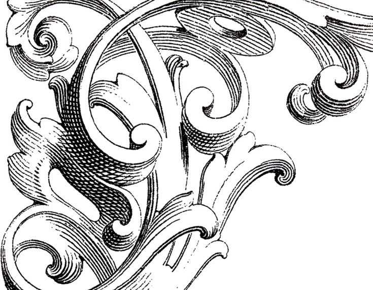 Картуш орнамент Барокко