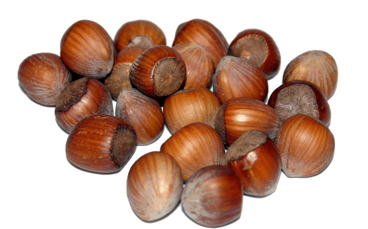 Орешки на прозрачном фоне