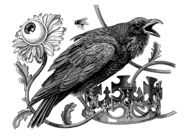 Оливия Кнапп