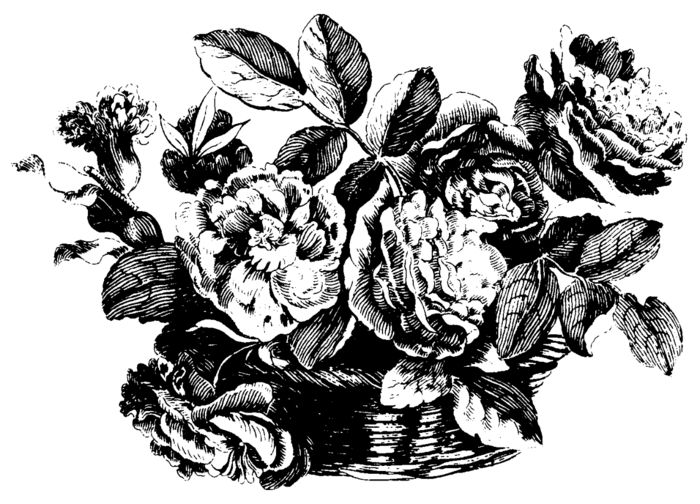 Монохромное изображение