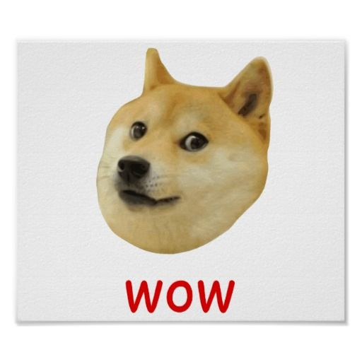 Акита ину Doge