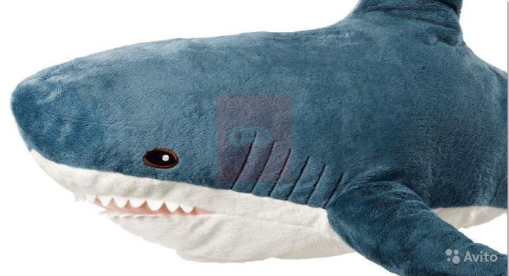 Blahaj Shark ikea