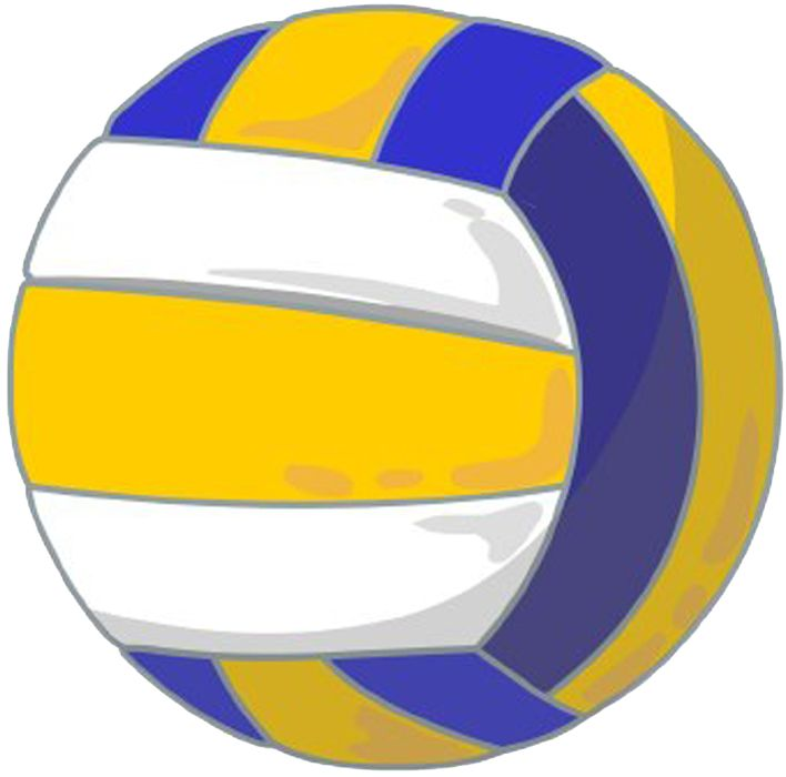 Волейбольный мяч Volleyball