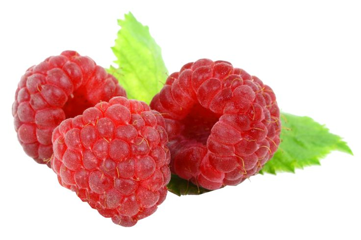 Ягоды на белом фоне