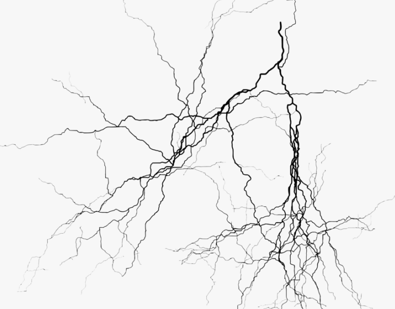 Вены без фона