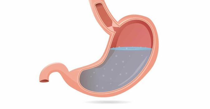 Желудок без фона