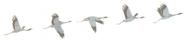 Клин журавлей на прозрачном фоне