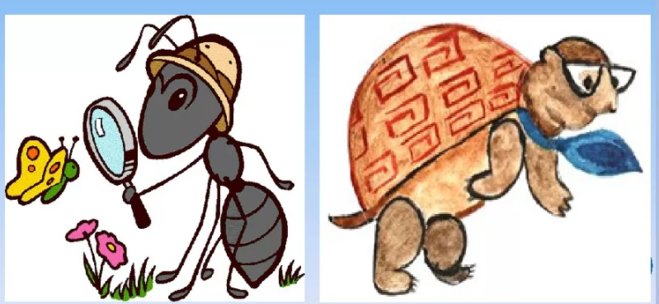 Мудрая черепаха и муравей вопросик картинка