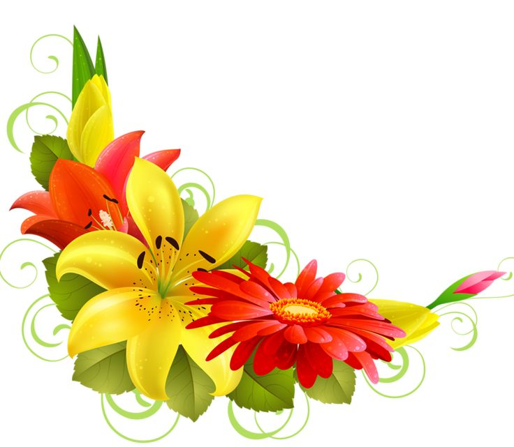 Цветы угловые