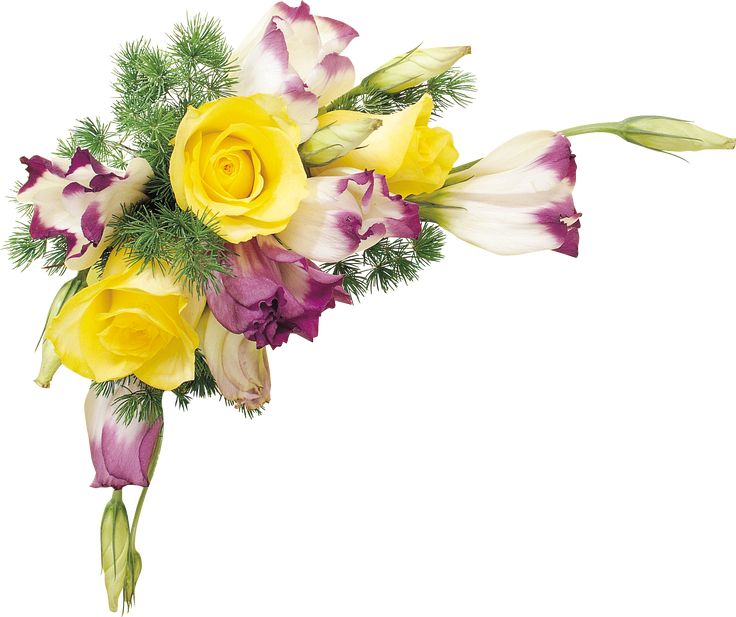 Цветочные уголки на прозрачном фоне