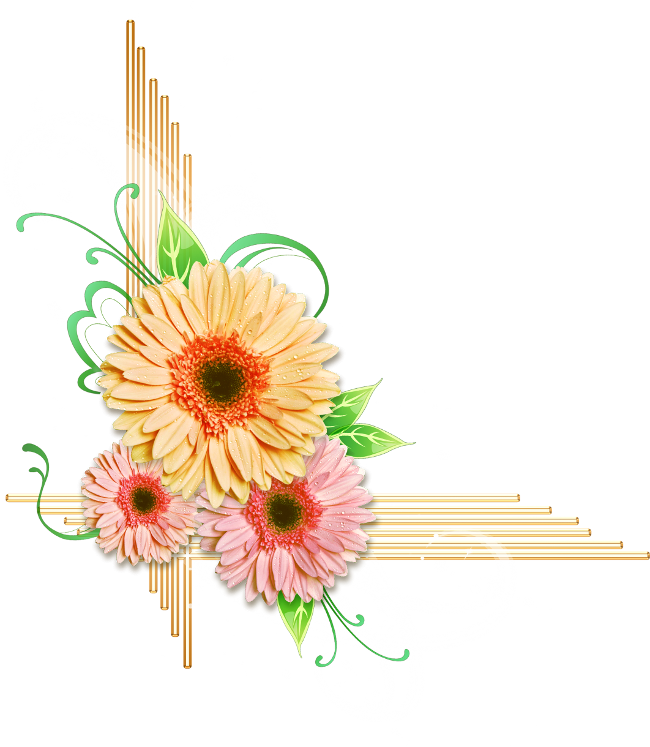 Цветы уголок на прозрачном фоне