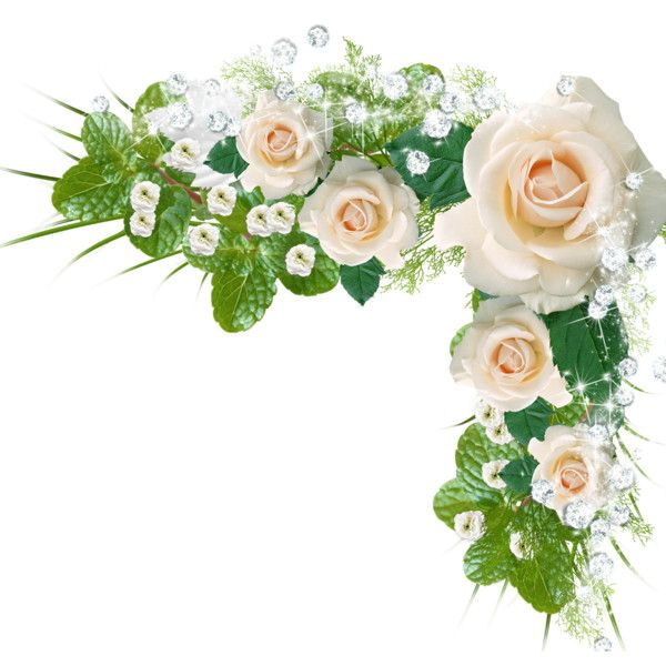 Цветочные композиции на прозрачном фоне