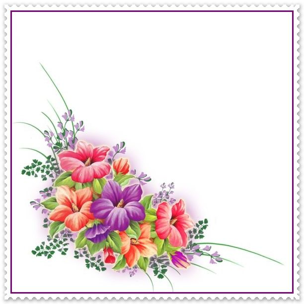 Цветы уголок на прозрачном фоне