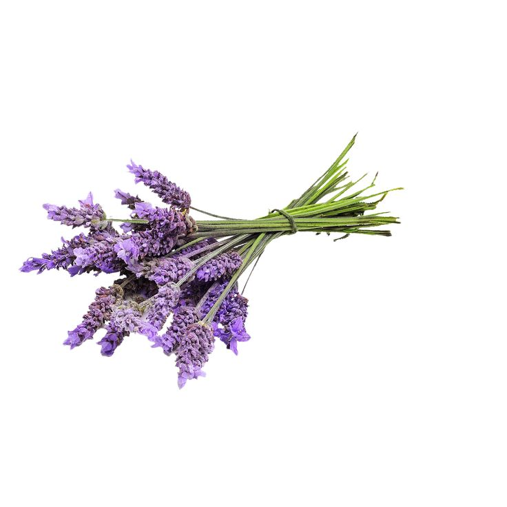 Лаванда Lavender aesthetic