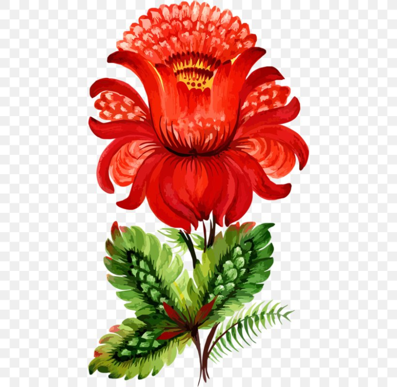 Аленький цветочек цветок