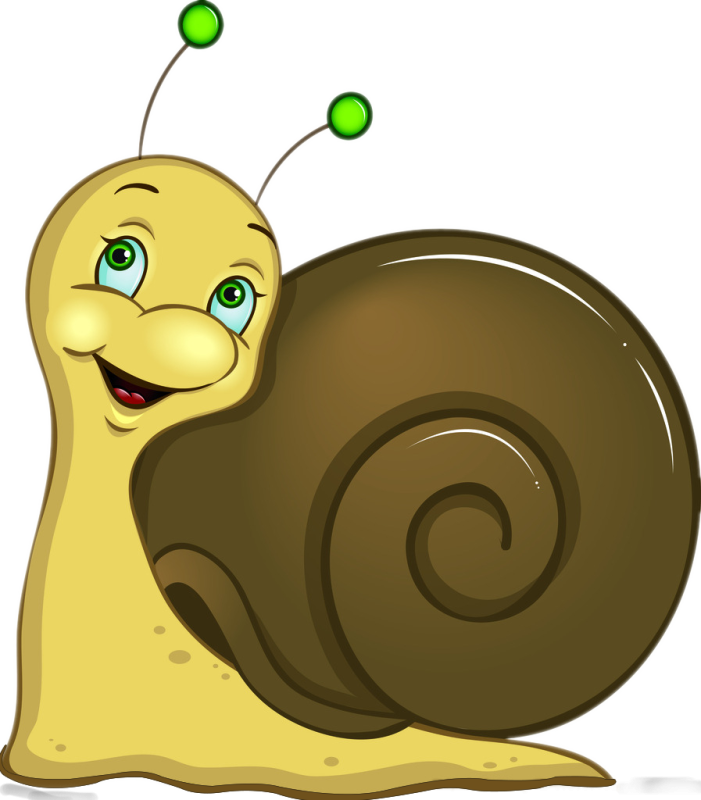 Веселая улитка