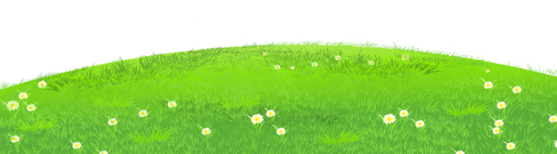 Лужайка с ромашками