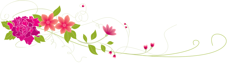 Цветы на прозрачном фоне