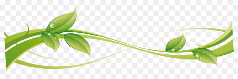 Зеленые листья на прозрачном фоне