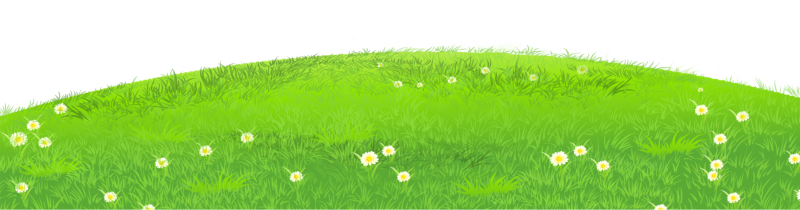 Трава с цветами рисунок