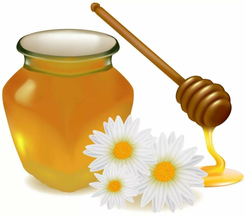 Мед на белом фоне для детей