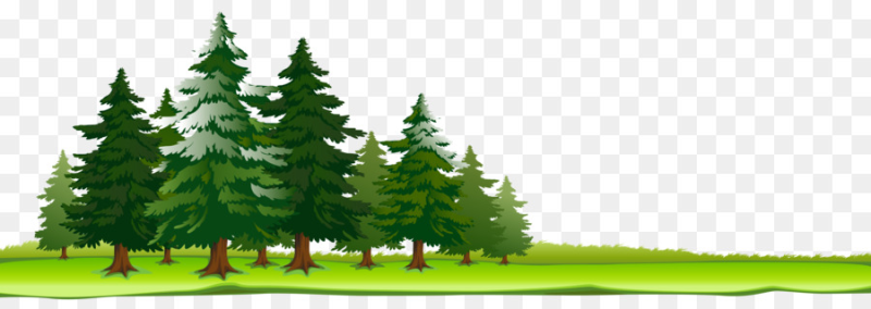Клипарт лес на прозрачном фоне