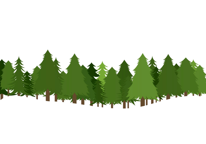 Лес на белом фоне