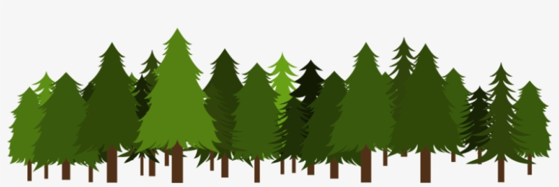 Лес на белом фоне