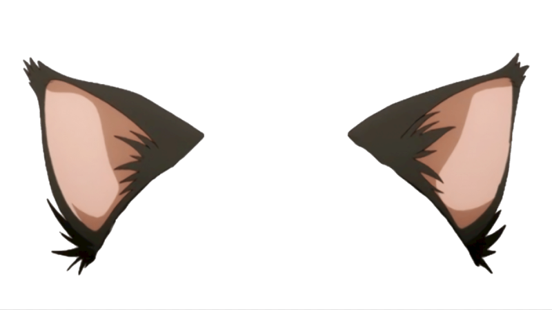 Ушки котика