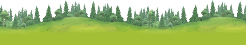 Опушка леса на белом фоне