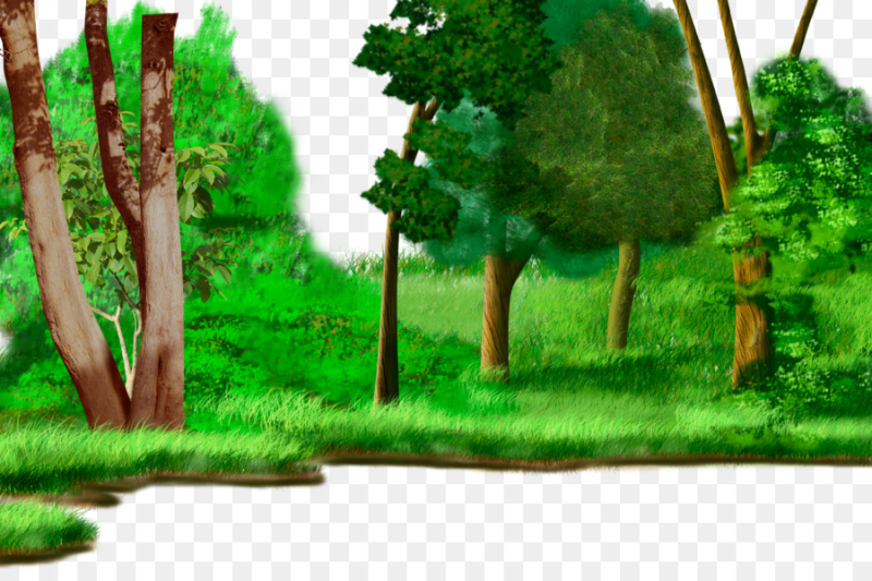 Лес на прозрачном фоне