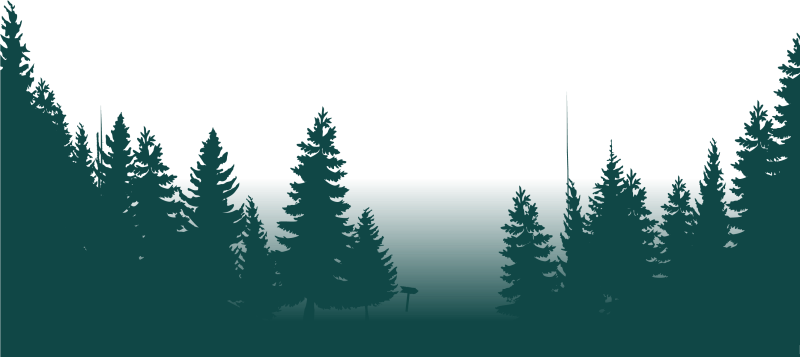 Лес на белом фоне