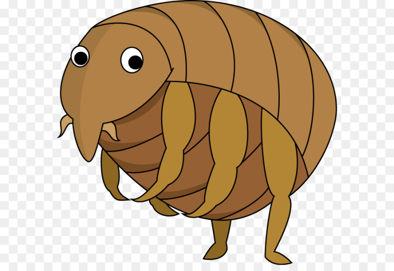 Блоха рисунок