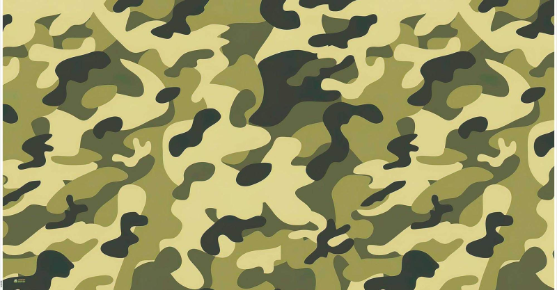 Камуфляжная расцветка