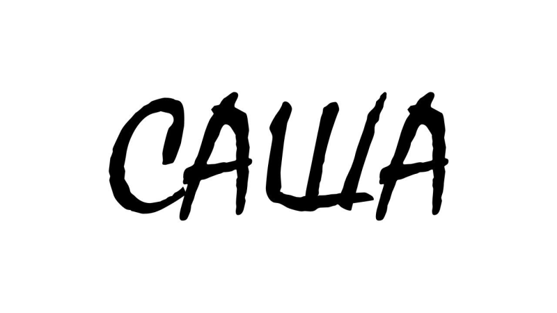 Саша имя на белом фоне