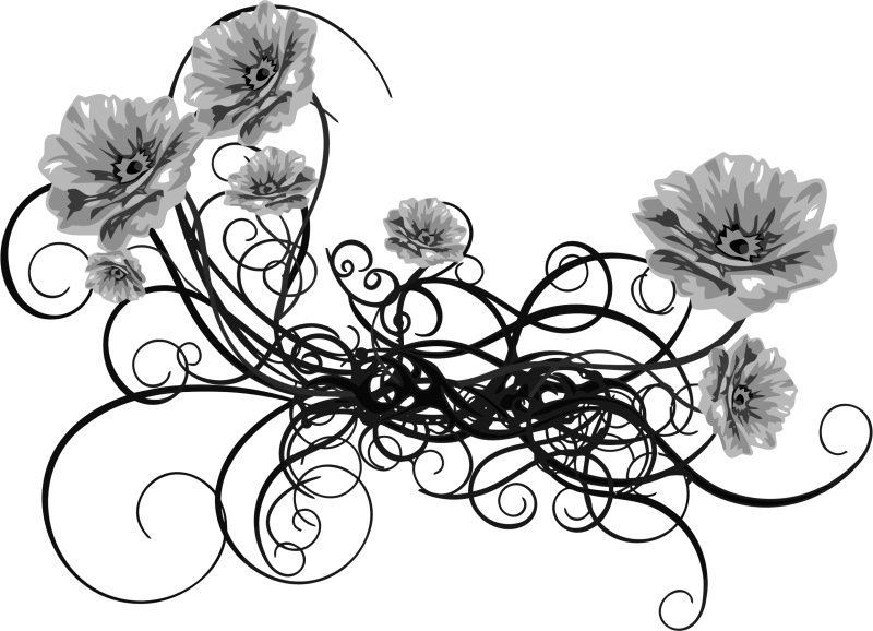 Узоры на прозрачном фоне