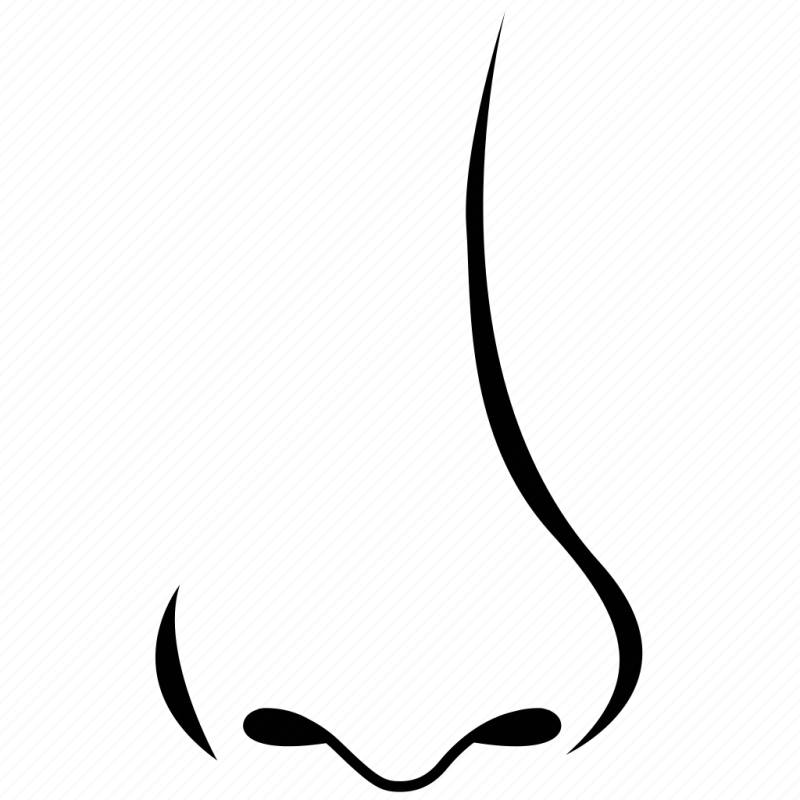 Векторный нос