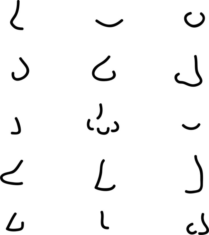 Очертания носа