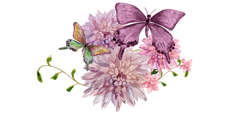 Цветы и бабочки на прозрачном фоне