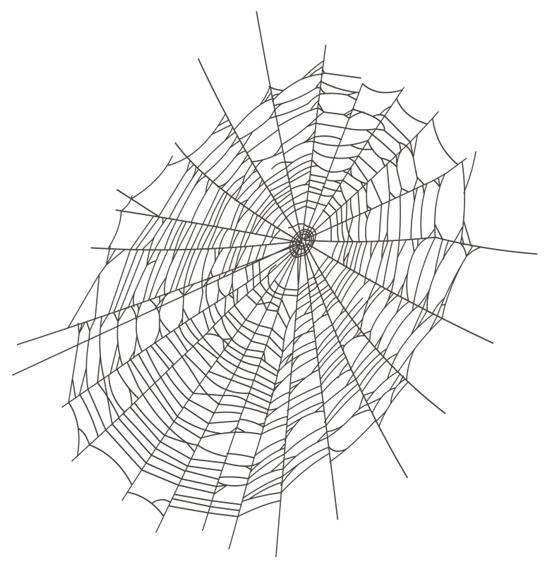 Сетка паучок