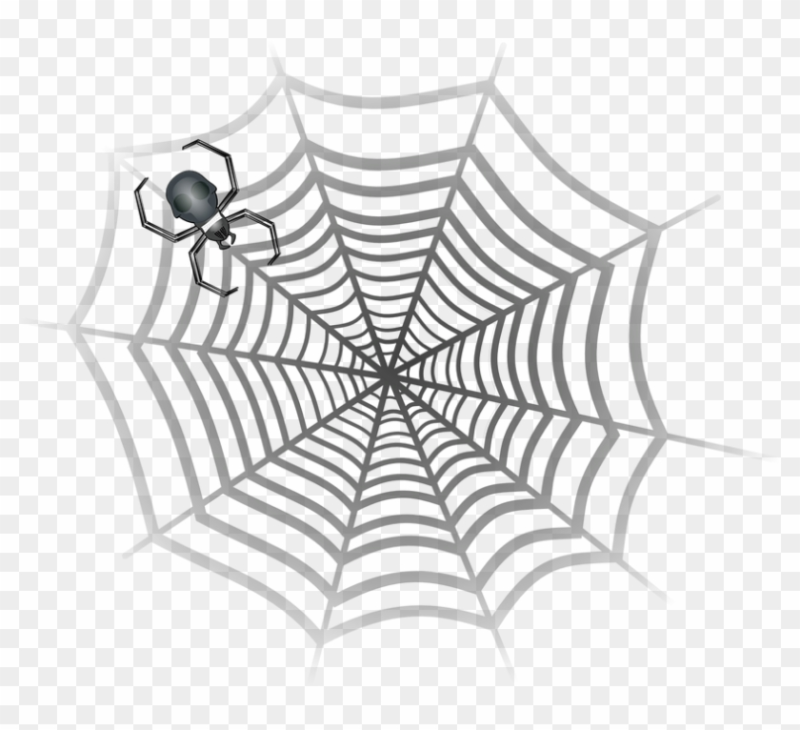 Паутина рисунок карандашом