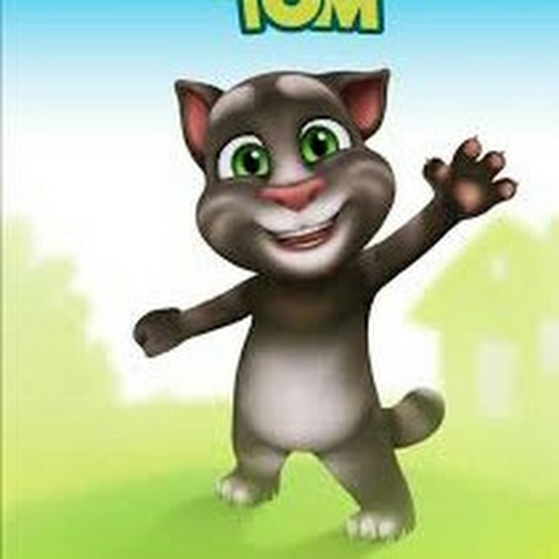 Том кот том