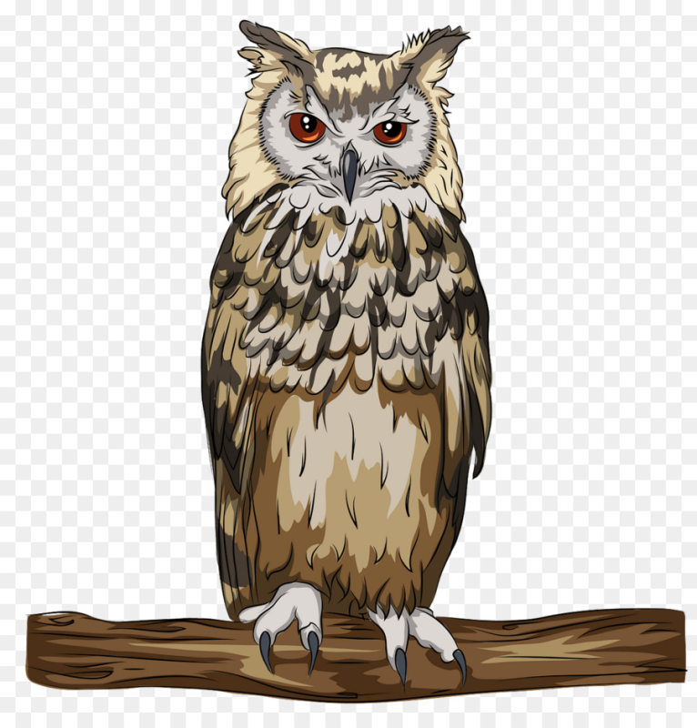 Филин на прозрачном фоне
