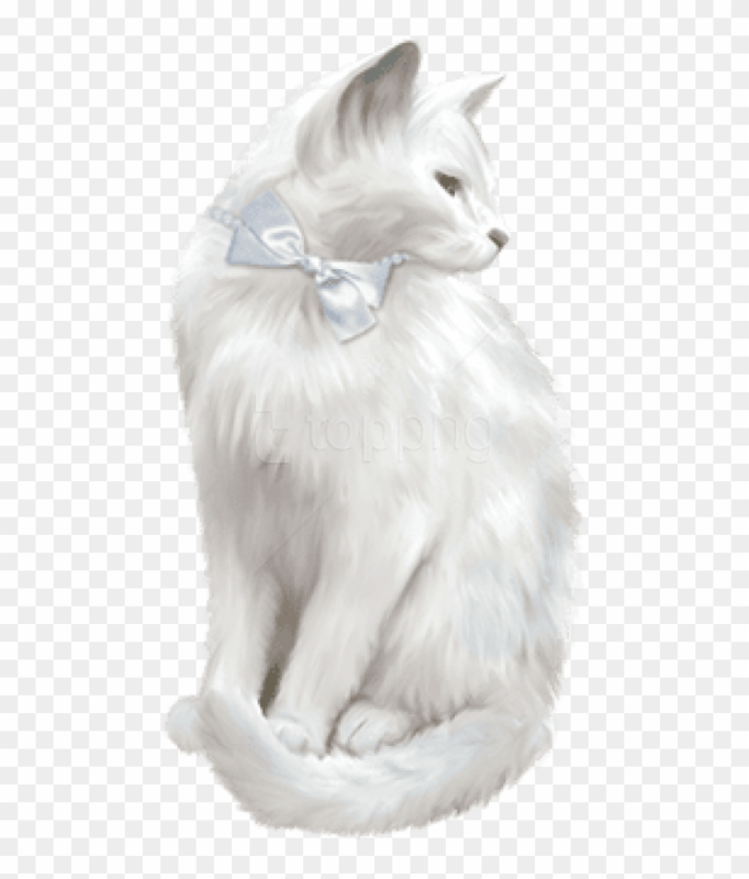 Кошка на белом фоне