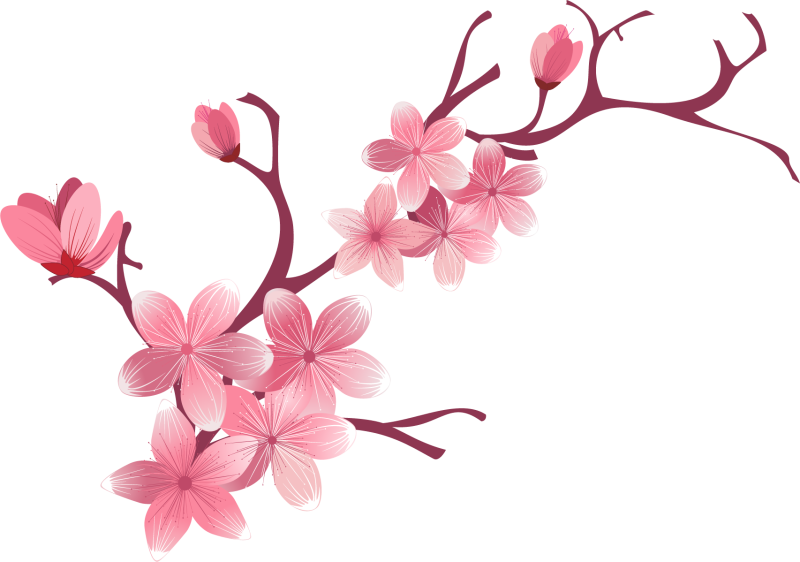 Sakura ветка