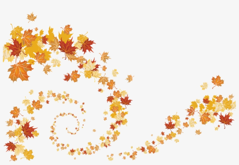 Осенние листья на прозрачном фоне