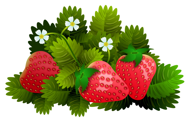 Клубника для детей