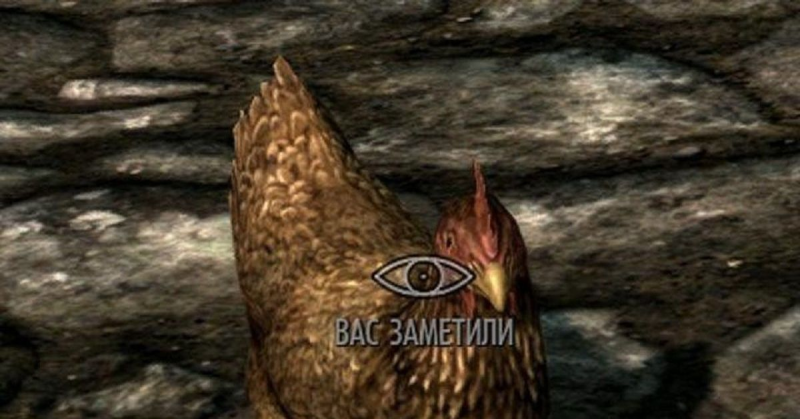Вас заметили курица